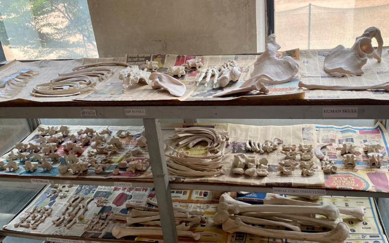 Anatomy Lab