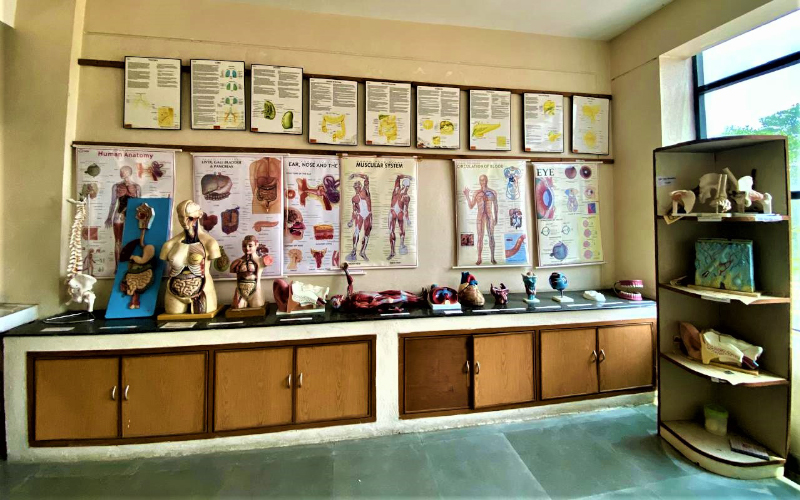 Anatomy Lab