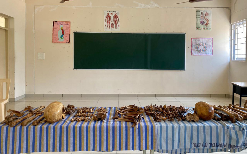 Anatomy Lab
